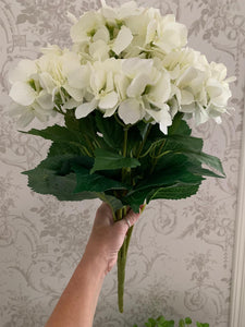 Hydrangea Bouquet ... White