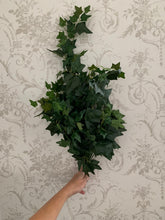 Load image into Gallery viewer, Ivy Trailing Pick