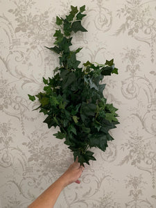 Ivy Trailing Pick