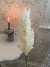 Load image into Gallery viewer, Pampas Grass Stem