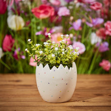 Load image into Gallery viewer, Pastel spot egg planter pot