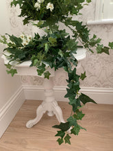Load image into Gallery viewer, Ivy Trailing Pick