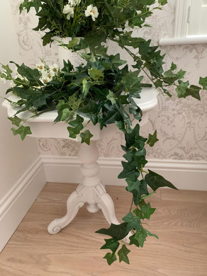 Ivy Trailing Pick