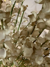 Load image into Gallery viewer, Green Lupin spray .... 3 stems