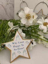 Load image into Gallery viewer, Metal Party Star hanger