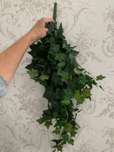 Load image into Gallery viewer, Ivy Trailing Pick