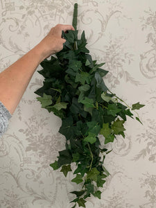 Ivy Trailing Pick