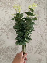 Load image into Gallery viewer, Eucalyptus Bush